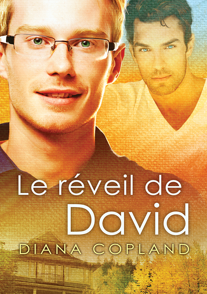 Le réveil de David