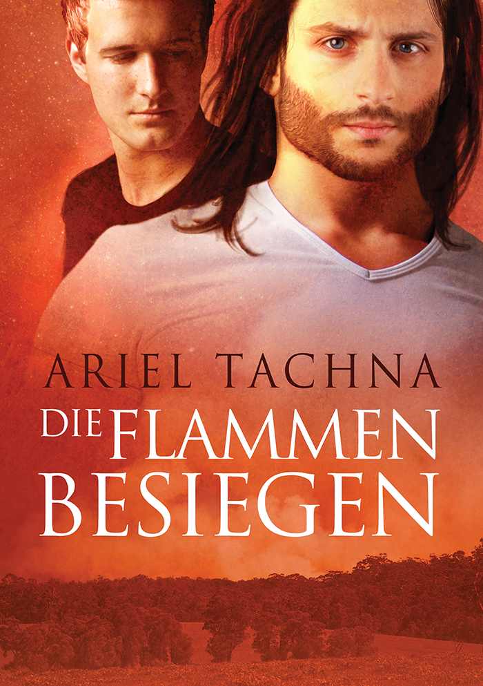 Die Flammen besiegen